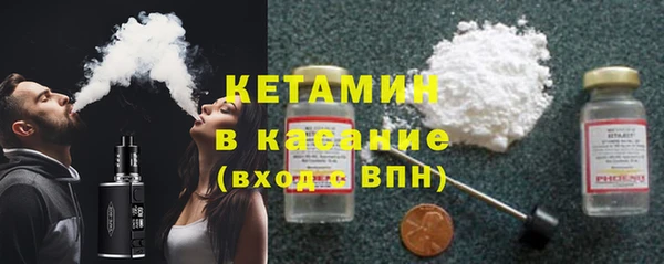 шишки Аркадак