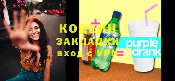 шишки Аркадак