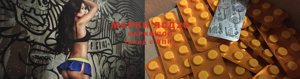 шишки Аркадак
