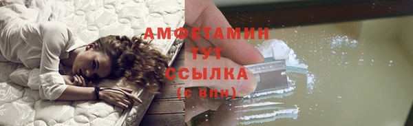шишки Аркадак