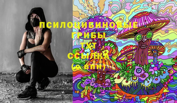 шишки Аркадак