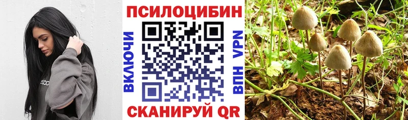 Галлюциногенные грибы Psilocybine cubensis  купить  цена  блэк спрут онион  Гуково 